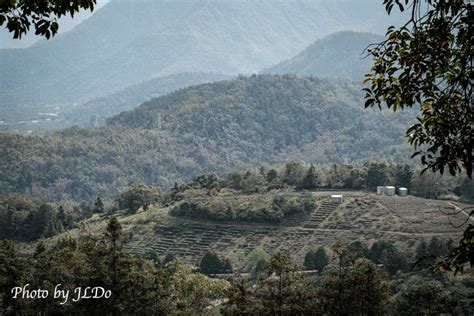 貓貓山|健行貓囒山步道，前往制高點氣象站～用不一樣的角度。